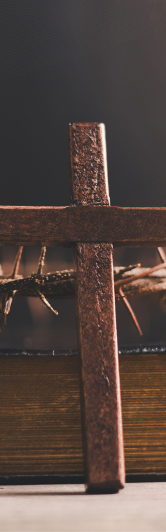 Lent is The Worthwhile Rebellion