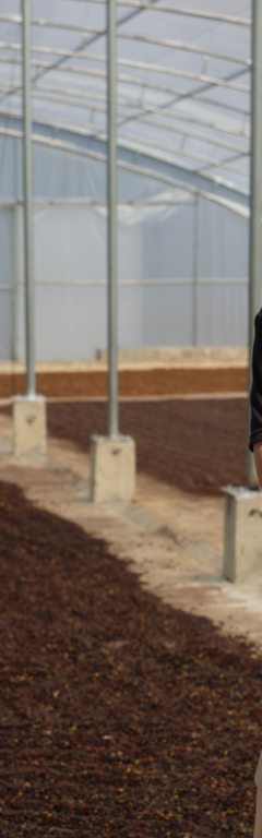 Why Fair-Trade Coffee Is a Scam and What Ethical Sourcing Really Looks Like