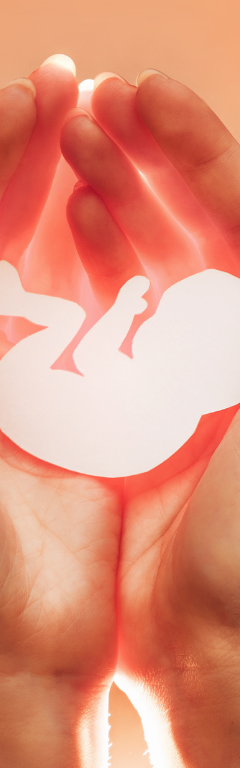 The Miracle of DNA: Why Every Human Life Is Genetically Unique From Day One