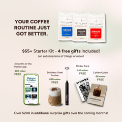 Premium Caribbean Bundle
