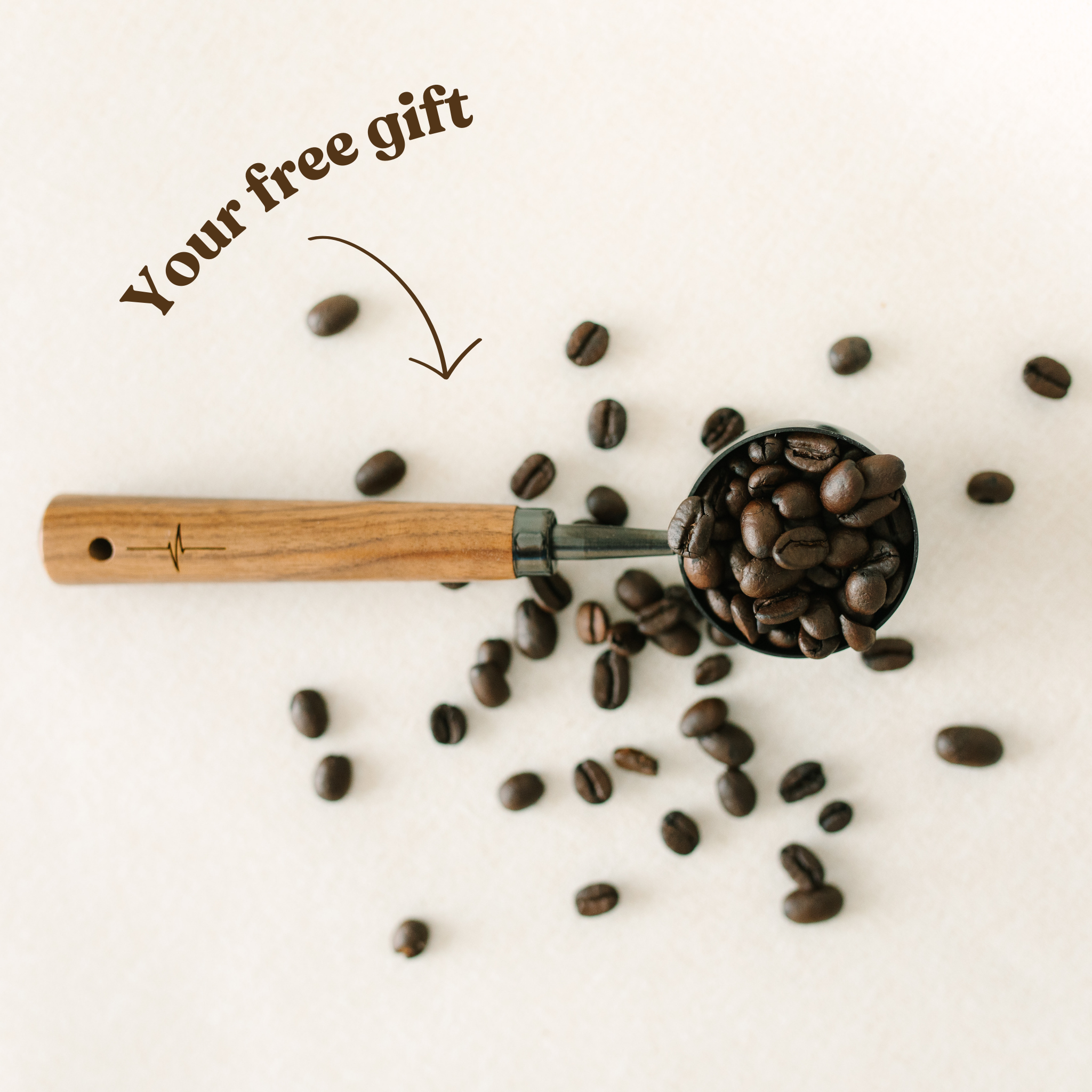 Premium Blend Bundle + Free Gift + 25% off